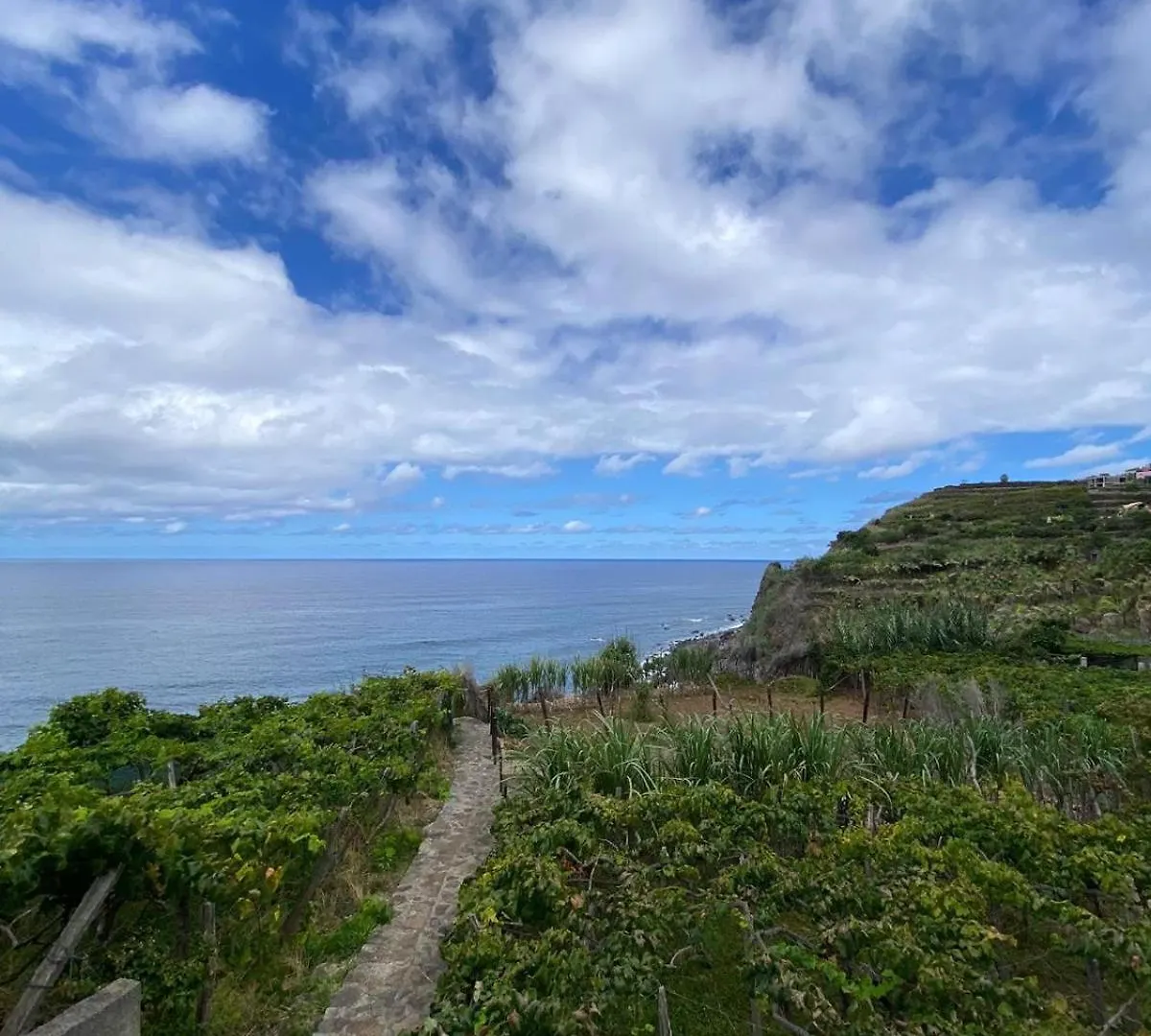 Ocean Guest House Sao Vicente  Holiday home Sao Vicente (Madeira)